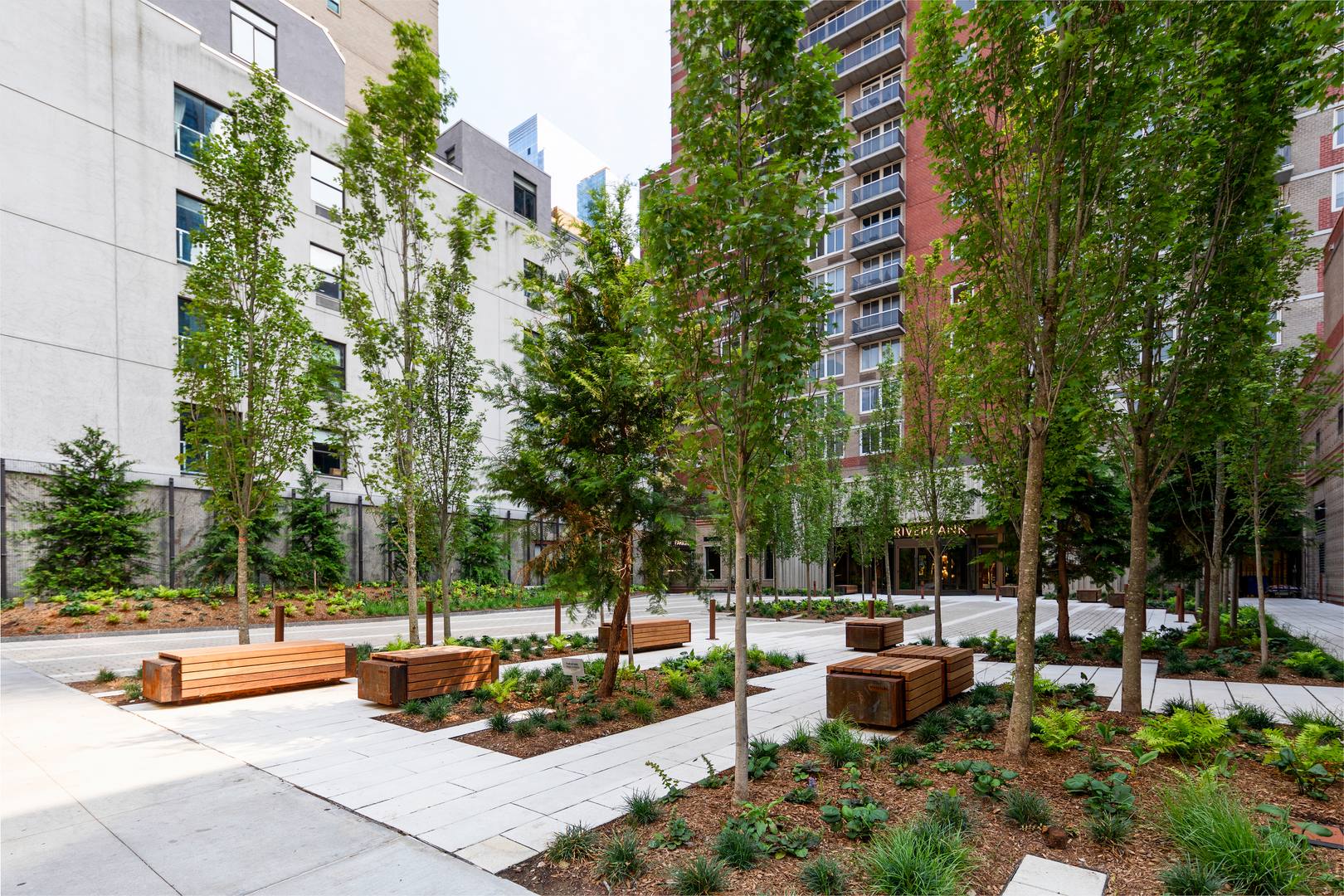 green courtyard