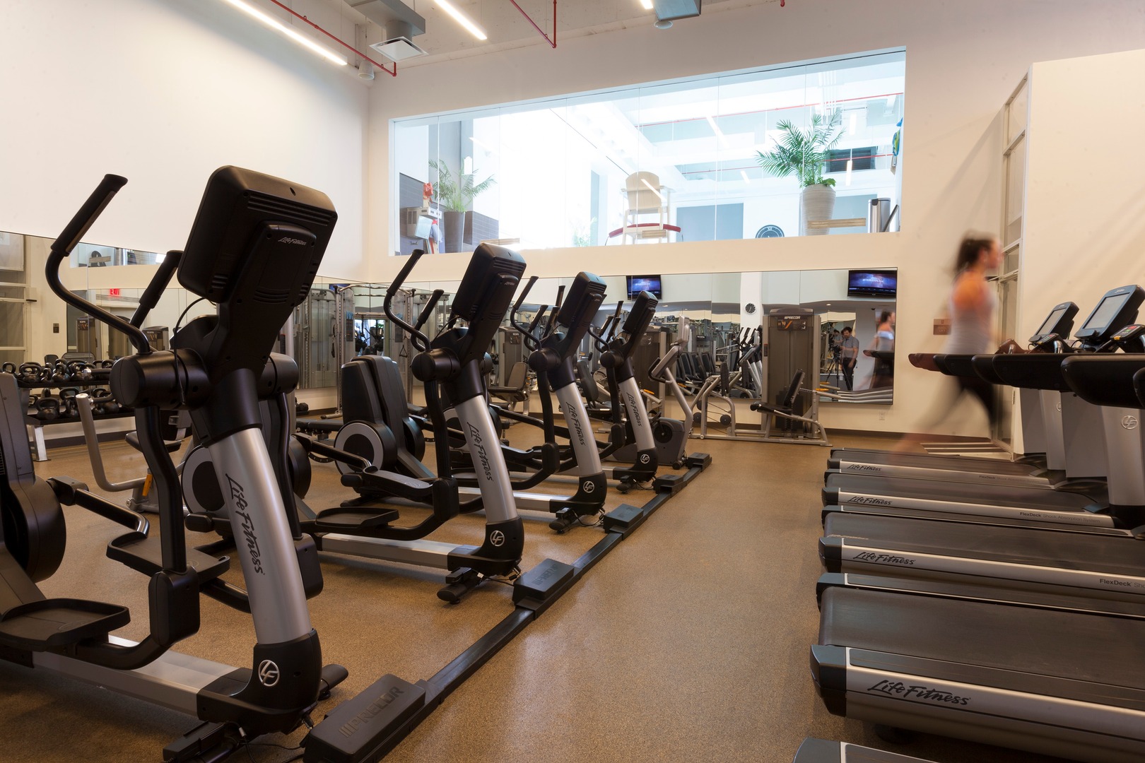 cardio machines